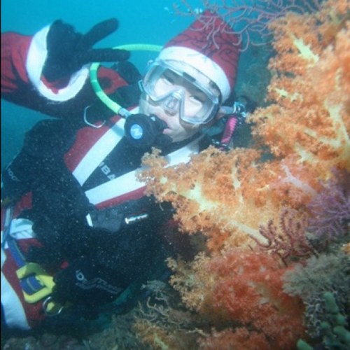 jaehak2's profile picture. Hanyang University. Biz /콜라/열정/헌신/애정/공헌/부/ HYUBIZ /WeeHan