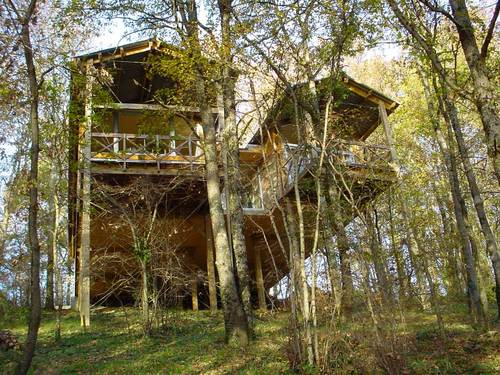 sergelarrieu's profile picture. L'esprit sur pilotis.