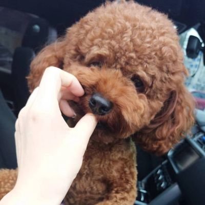 8rytxdOWKAYxFjH's profile picture. 静观其变，少言益善