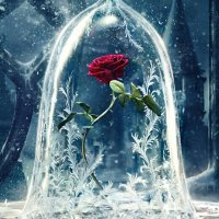 kumin (@kumin_4) 's Twitter Profile Photo