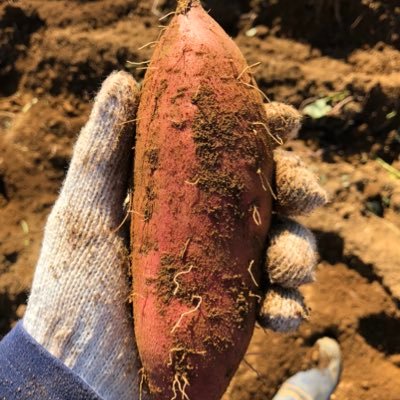 VMCS9NEktYuBBM5's profile picture. 令和４年度 一級建築士試験合格しました。　 建築設計事務所に勤務してします。趣味は読書、カメラです。たまに呟きます。