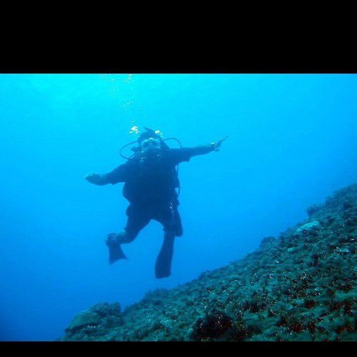 ATXAPU's profile picture. 