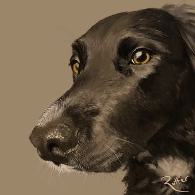ArtApricot's profile picture. Portrait artist and illustrator / I will say hi to your dog before you
etsy: https://t.co/7A2RZZ2zE2