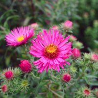 Gary Leaver (@avondale_gary) 's Twitter Profile Photo