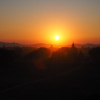 losgallos8's profile picture. 