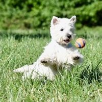 Flora Berthelot (@floraberthelot) 's Twitter Profile Photo Flora Berthelot (@floraberthelot) 's Twitter Profile Photo