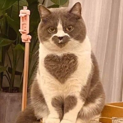 TitanKo3's profile picture.