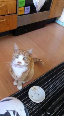 angelikabrunne9's profile picture. Mein Name ist Angelika Brunner eine sehr nette Frau