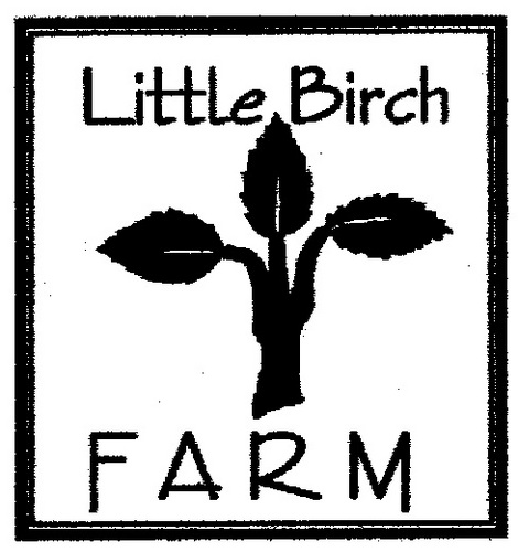 littlebirchfarm's profile picture. Birch crafts, handcrafted/wildcraft body products & soaps and letterpress studio in the hills of Western Massachusetts