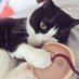 ひばち (@z3ym5fpv5yqm59c) Twitter profile photo ひばち (@z3ym5fpv5yqm59c) Twitter profile photo