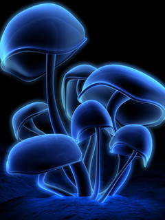 Umesh_Gujar's profile picture. 