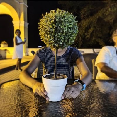 kafonseca9's profile picture. Inútil con tintes existencialistas. Bióloga, alguna vez mastozoóloga. Todavía me gustan los murciélagos, los humanos y otros mamíferos.