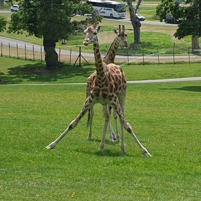 andystubbington's profile picture. 