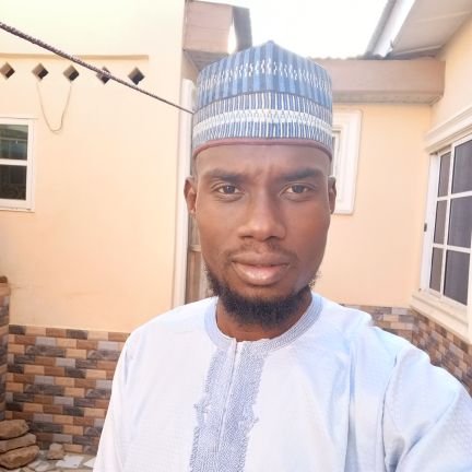“Auwal Umar is a HEO at INEC, with https://t.co/LykfRu58CA, and Msc in Economics from UMYUK and FUDMA respectively.