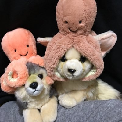 こいもさんのプロフィール画像