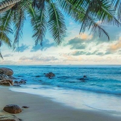 السيرة الحسنة كشجرة الزيتون
لا تنمو سريعاً لكنها تعيش طويلا🌸