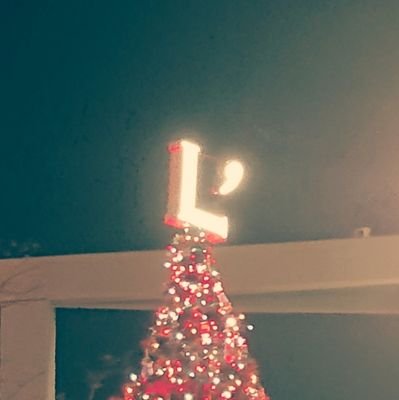 ラルクのライブに行くアカ