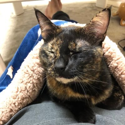さび缶さんのプロフィール画像