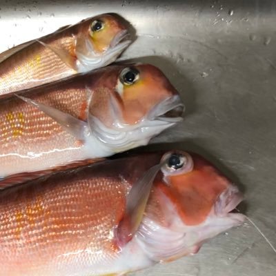 っておい！さんのプロフィール画像