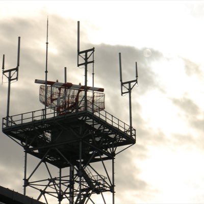 ql8qf's profile picture. 成人済みROM垢