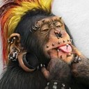 armando carriòn - @directorbeefers - Twitter