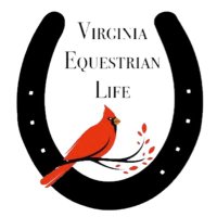 Chelsea Scriven (@vaequestrian52) 's Twitter Profile