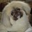 jacciandbon's profile image
