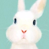 Aommmmm (@aomm36) 's Twitter Profile