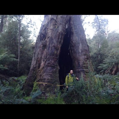 Giant tree nerd. Using LiDAR to find, record and measure the largest eucalypts, mostly in Tasmania. 

Renewable Energy Engineer.