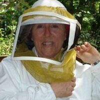Linda Tillman - @beekeeperlinda Twitter Profile Photo