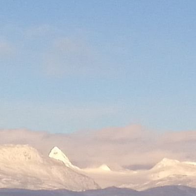 FredrikHirsch's profile picture. Internationalist.Environmentalist.Liberal/mod cons.Peace.Equal opp'tunity.  Free ent'prise. Compassion for all good. Agnostic. Retired grandpa. spllng miskakes.
