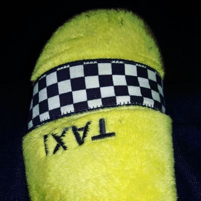 ManuelR24238511's profile picture. en el futuro no cabemos todos