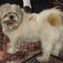 calum  thomson - @dalneigh46 - Twitter