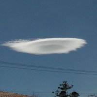 @Conahcyt (@conahcyt) 's Twitter Profile