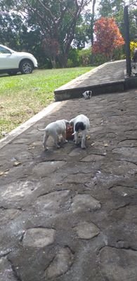 Aicos99825493's profile picture. r