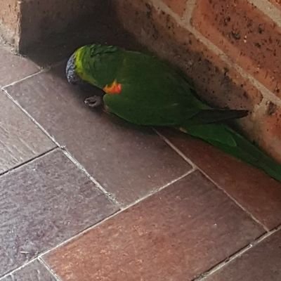 Bilal52862843's profile picture. 