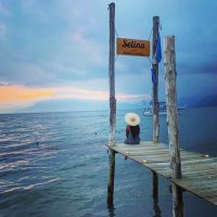 Uppity African (@thefree1_) 's Twitter Profile