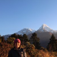 Alice Wakefield (@alicewakefield4) 's Twitter Profile
