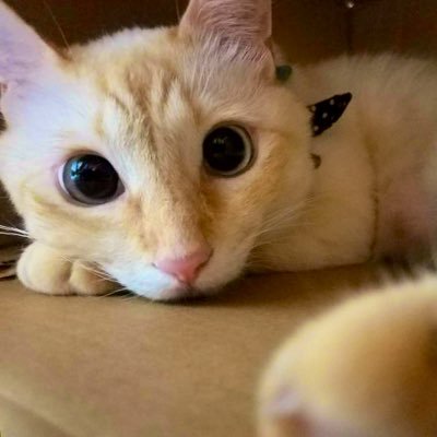 びたみんさんのプロフィール画像
