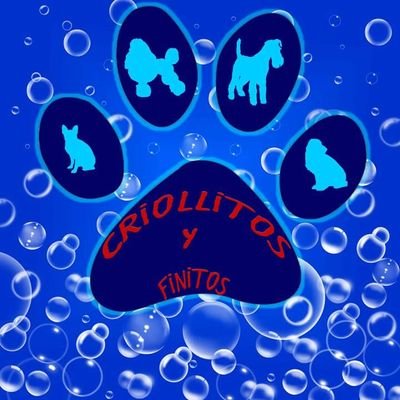 CyFesteticacan's profile picture. Estilistas Canino
