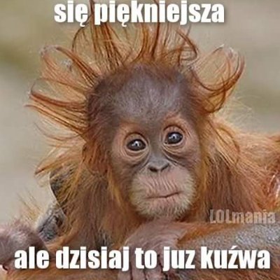 Julakowa's profile picture. https://t.co/Hbo1A8aUae
https://t.co/XIZYwbAiG9
https://t.co/ISBjrdYVga