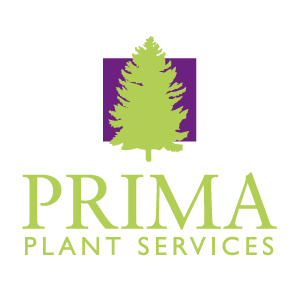 Prima Plant Services is your landscape health care specialist serving Aspen to Aspen Glen.  Follow us for expert tips on maintaining healthy trees and turf.