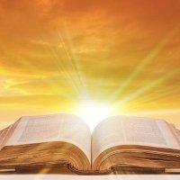 True Earth (@trueearth2) 's Twitter Profile