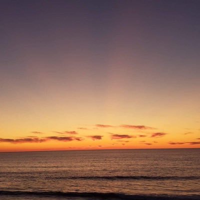 theonlydazz's profile picture. Deluded united fan and best warzone sniper