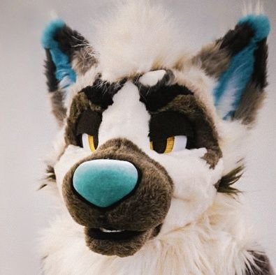 Hi I'm Jooni ππ³οΈβπ Profile