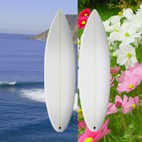 SSC (@sustainablesurf) 's Twitter Profile