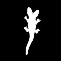 ALLIGATOR JESUS (@davidtamargo) 's Twitter Profile