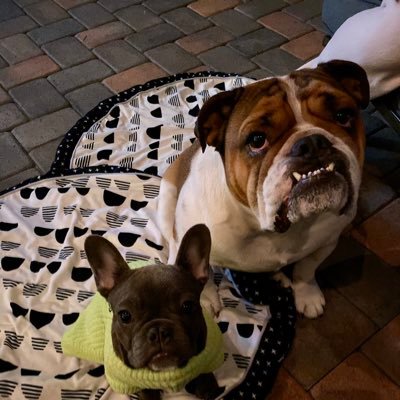 robertm11158561's profile picture. Husband, Father, Child of God. FSU Business School Alum https://t.co/5lAbe0OBL8