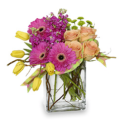 Premier florist and gifts for the St. Louis area. We're always looking for new ideas and updates in the floral community!