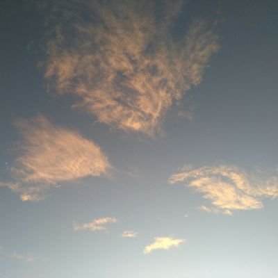 omidm24515810's profile picture. 